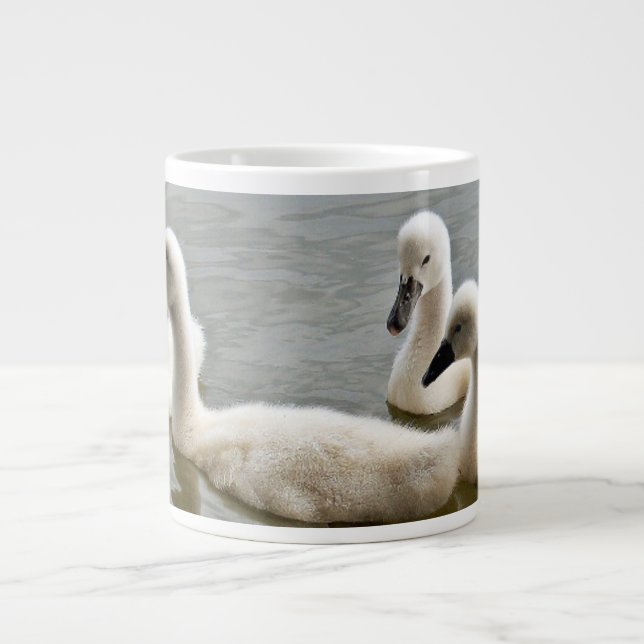 swans in water Mug (Front)