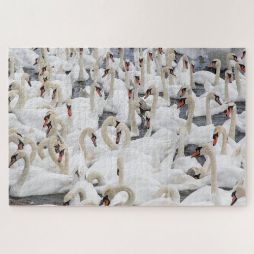 Swans Jigsaw Puzzle