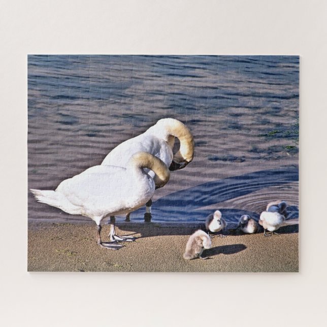 SWANS JIGSAW PUZZLE (Horizontal)