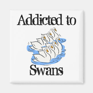 Swans Magnet