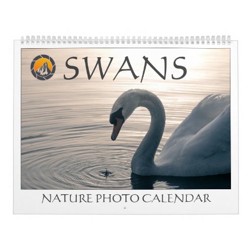 Swans Nature Photos 2024 Calendar