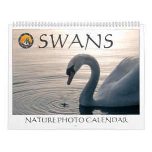 Swans Nature Photos 2027 Calendar