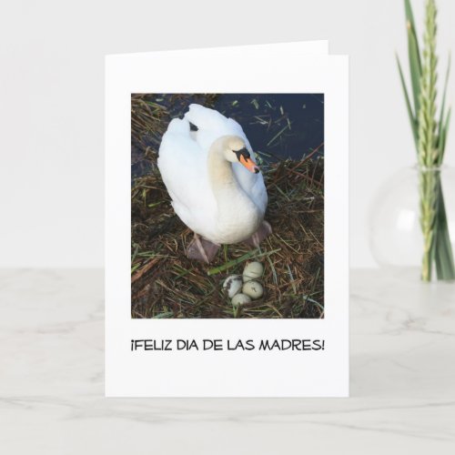 swans nest mothers day card spanish