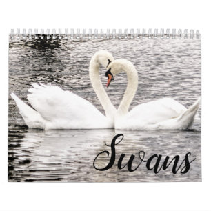 Swans of Spring Grove  Calendar