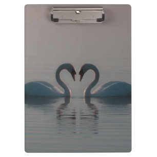 Swans on Lake Clipboard