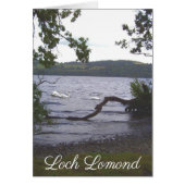 Swans on Loch Lomond (Front)