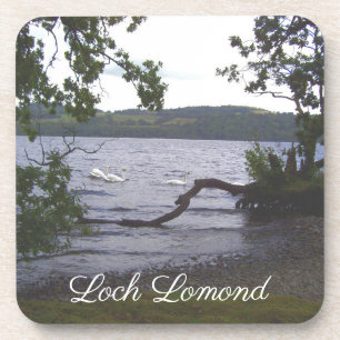 Swans on Loch Lomond Beverage Coaster