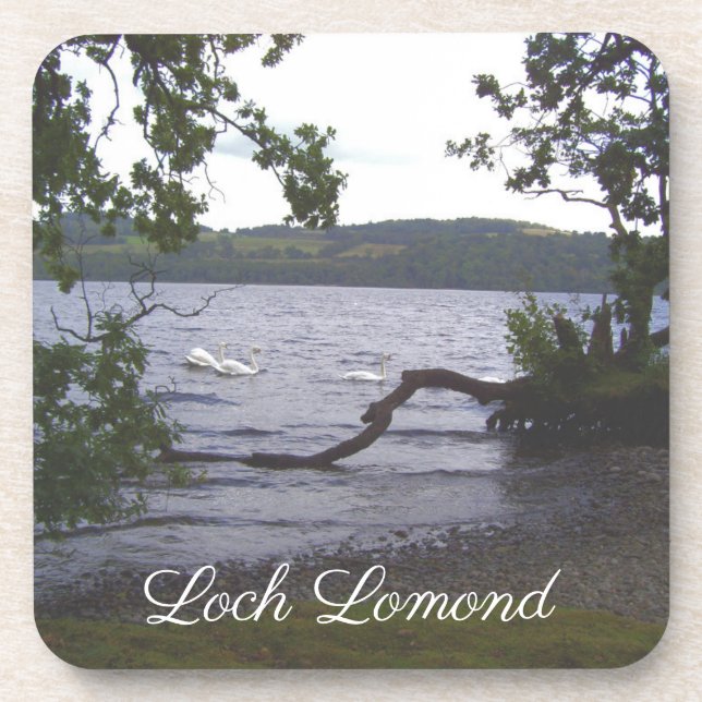 Swans on Loch Lomond Beverage Coaster (Front)