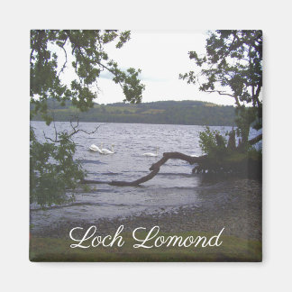 Swans on Loch Lomond Magnet