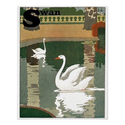 Swans on the Lake Alphabet Letter Perfect Poster