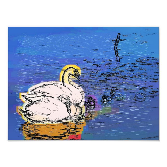 SWANS PHOTO PRINT (Front)