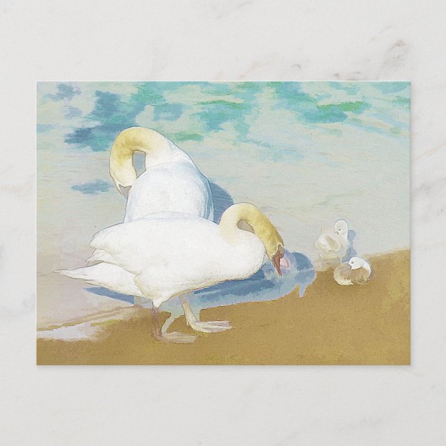 SWANS POSTCARD (Front)