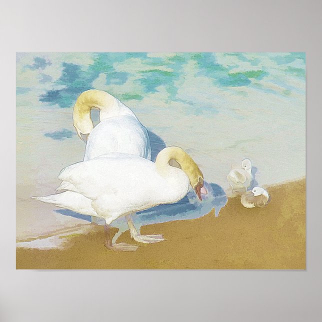 SWANS POSTER (Front)