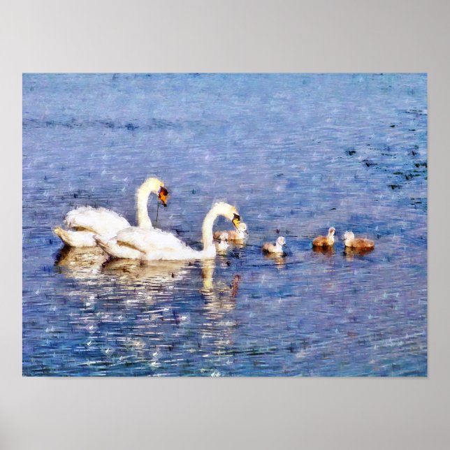 SWANS POSTER (Front)