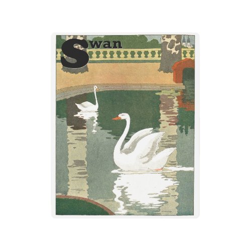 Swans Reflection Animal Alphabet Metal Print