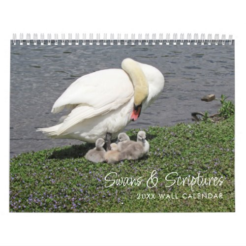 Swans  Scriptures Photography Calendar