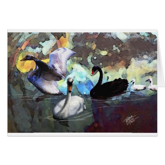 Swans Swimming Cards (Front Horizontal)