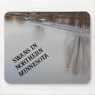 Swans Taking Off in Flight Mouse Pad