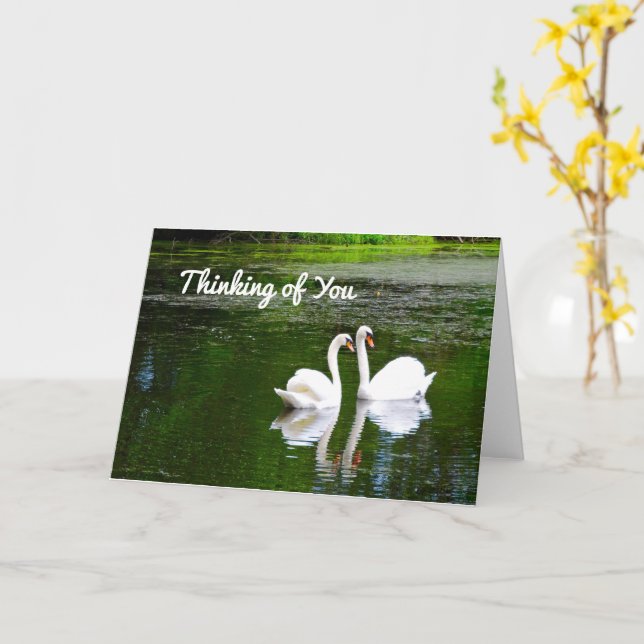 Swans Thinking of You Card (Yellow Flower)