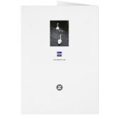 Swans with cygnets (Back)