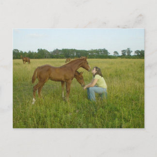 Swapping Spirits Post Card