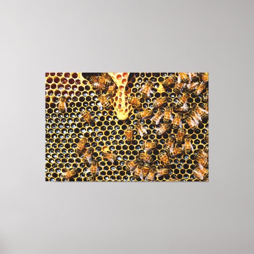 swarm of bees on honeycomb canvas print