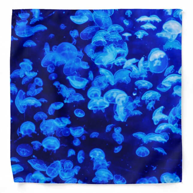 Swarm of Jellyfish Bandana (Front)