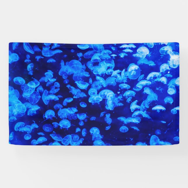 Swarm of Jellyfish Banner (Horizontal)