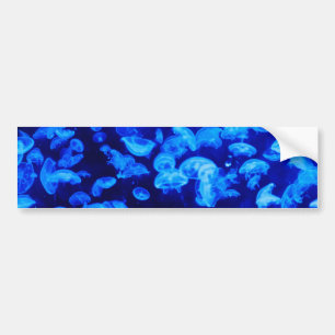 Swarm of Jellyfish Bumper Sticker
