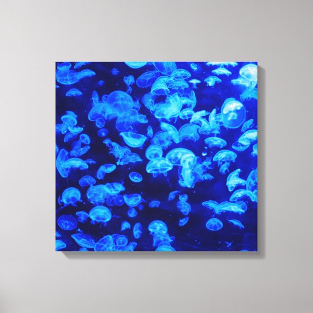 Swarm of Jellyfish Canvas Print (Front)