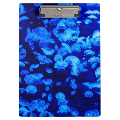 Swarm of Jellyfish Clipboard