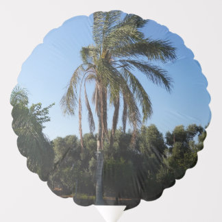 Swaying Palm Tree Under a Clear Sky Balloon
