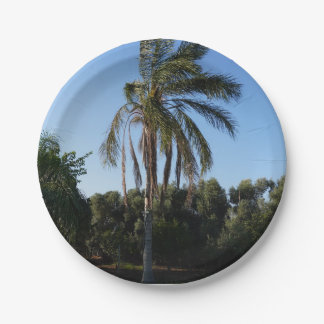 Swaying Palm Tree Under a Clear Sky Paper Plates
