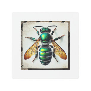 Sweat Bee in Natural Surroundings 031124IREF223 -  Metal Print