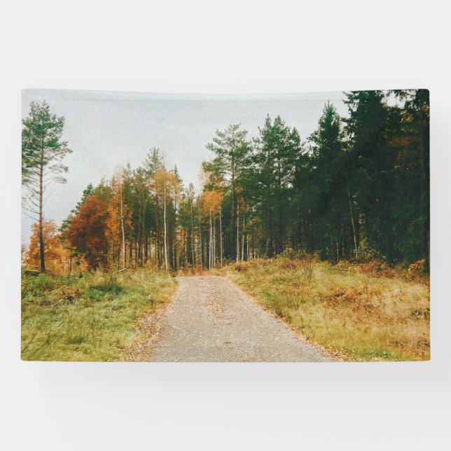 Swedish Autumnal Forest Banner (Horizontal)