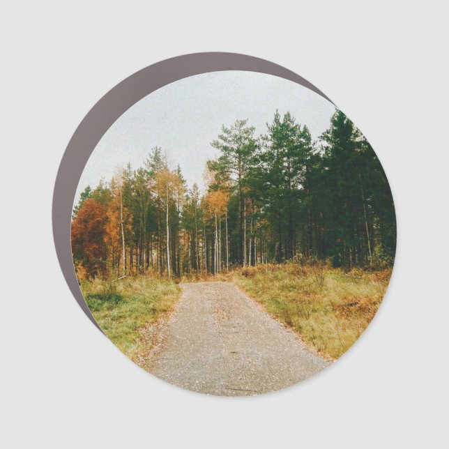 Swedish Autumnal Forest Car Magnet (Front)