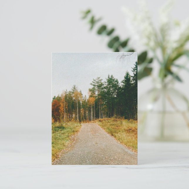 Swedish Autumnal Forest Holiday Postcard (Standing Front)