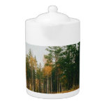Swedish Autumnal Forest Teapot