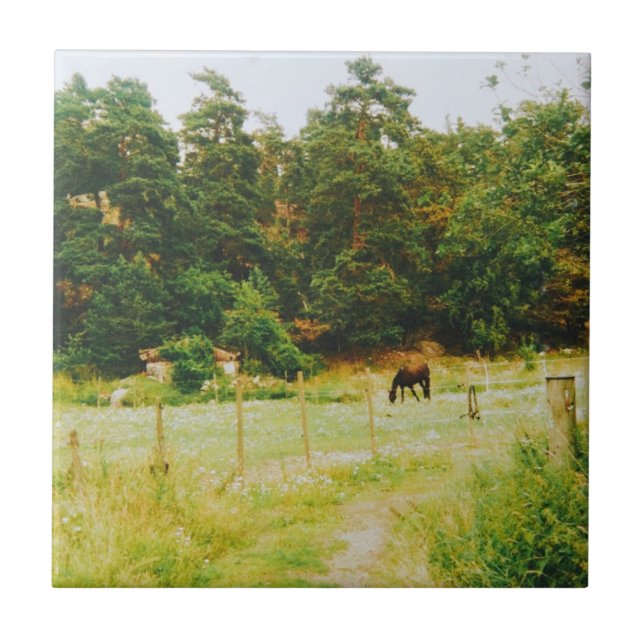 Swedish Countryside Ceramic Tile (Front)