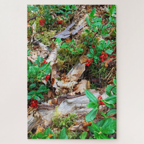 Swedish forest with lingonberries and musk jigsaw puzzle