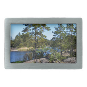 Swedish landskap belt buckle