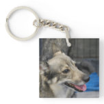 swedish-vallhund-2.jpg keychain