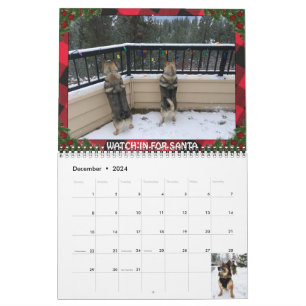 Swedish Vallhund Calendar
