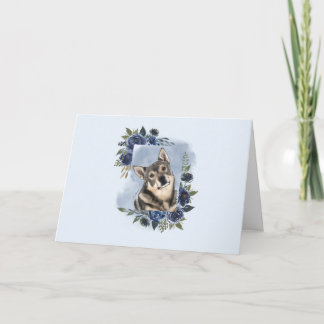 Swedish Vallhund Card