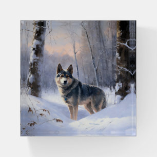 Swedish Vallhund Let It Snow Christmas Paperweight