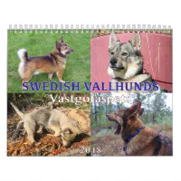 Shops swedish vallhund washington