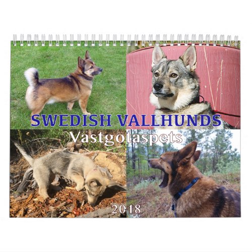 Swedish Vallhund Vastgotaspets Callendar 2018 Calendar