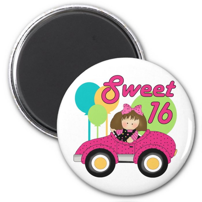 Sweet 16 Birthday Magnets