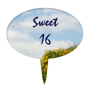 Sweet 16 cake topper Blue Sky White Clouds Floral