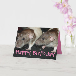 Sweet agouti hooded girl rats birthday card